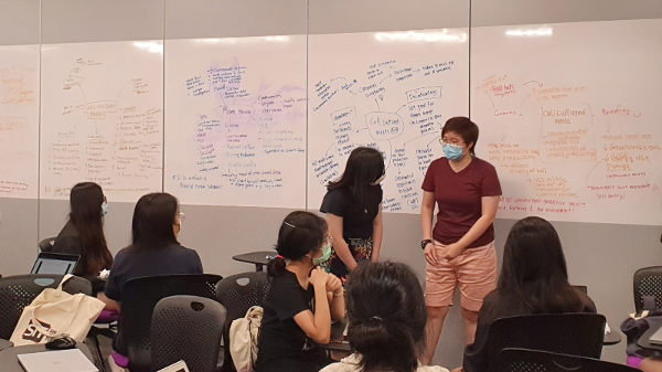新加坡理工大学：应用科技领域的领先者